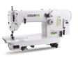 DOLLOR Y-4-2-PLB-SD